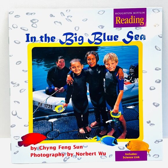 In the Big Blue Sea: Houghton Mifflin Reading Paperback By Chyng Feng Sun NEW - Picture 1 of 2